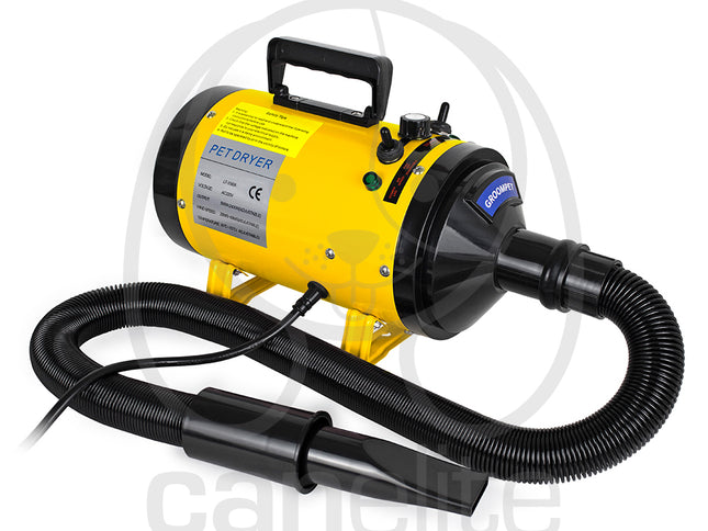 Turbina Special Blaze Groompet