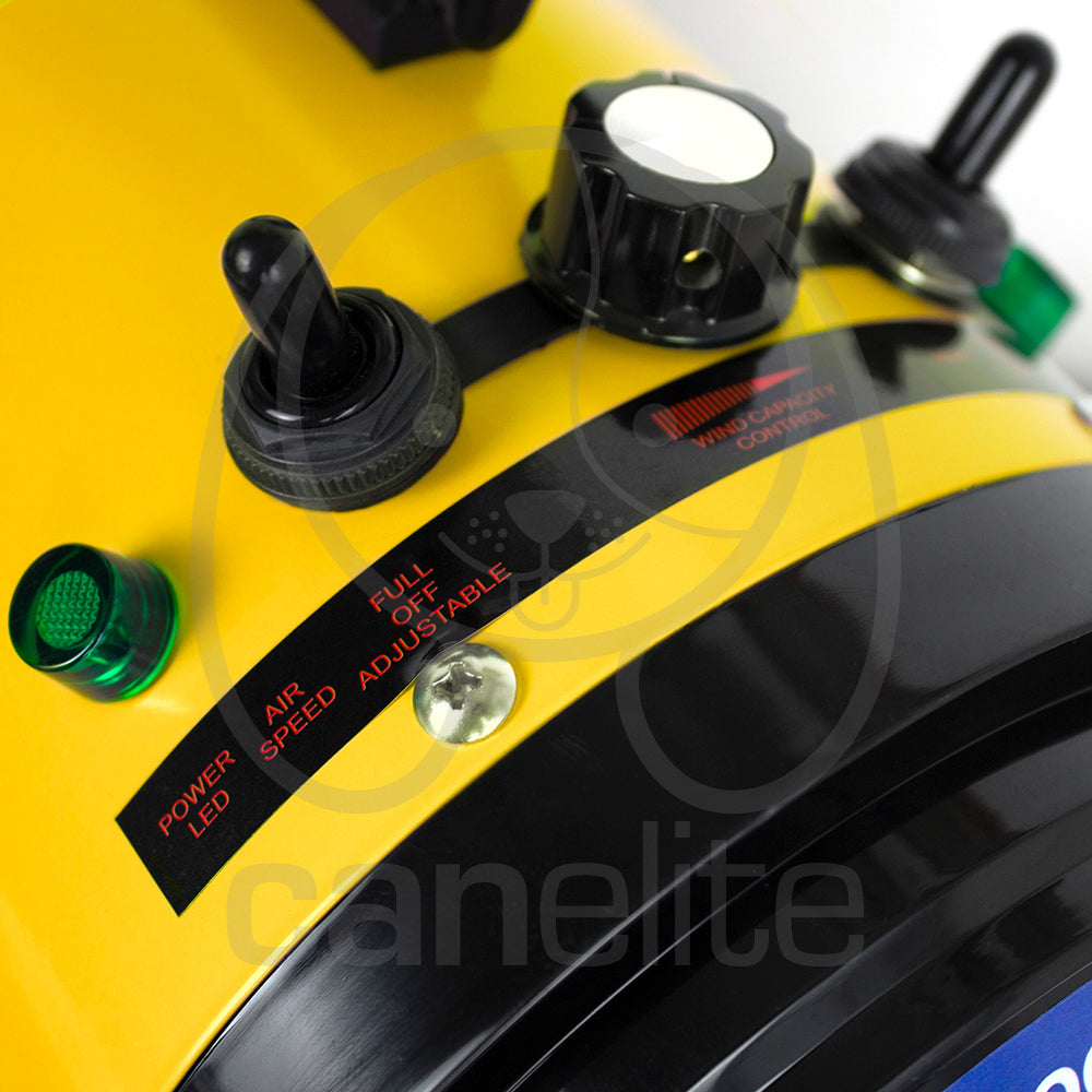 Turbina Special Blaze Groompet