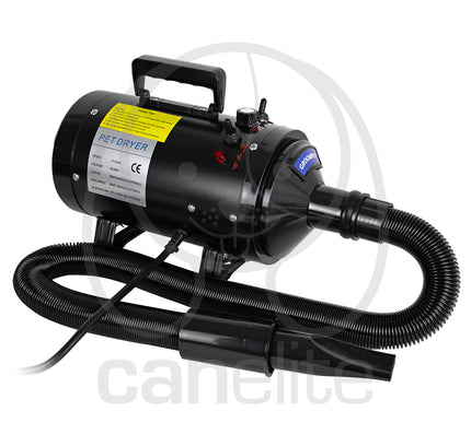 Turbina Special Blaze Groompet