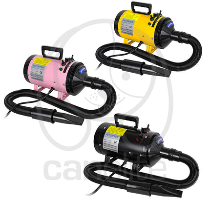 Turbina Special Blaze Groompet