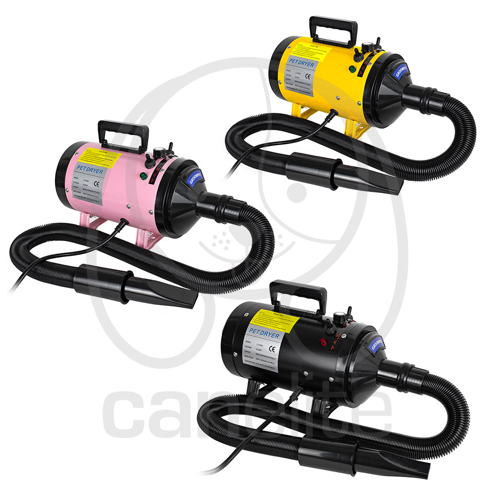Turbina Special Blaze Groompet