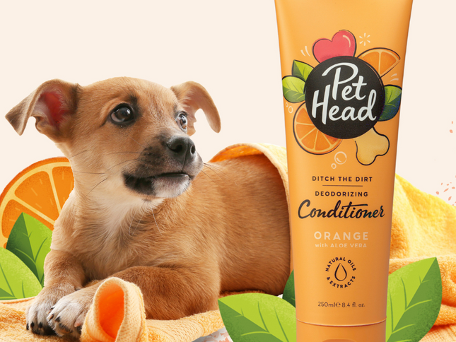 Pet Head Acondicionador Ditch The Dirt - 250ml (Olores)