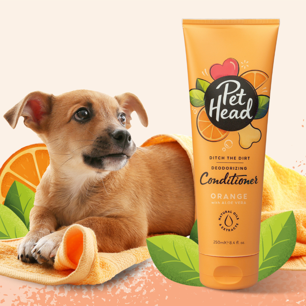 Pet Head Acondicionador Ditch The Dirt - 250ml (Olores)