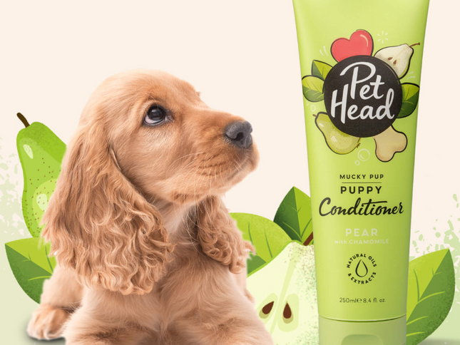 Pet Head Acondicionador Mucky Pup - 250ml (Cachorros)