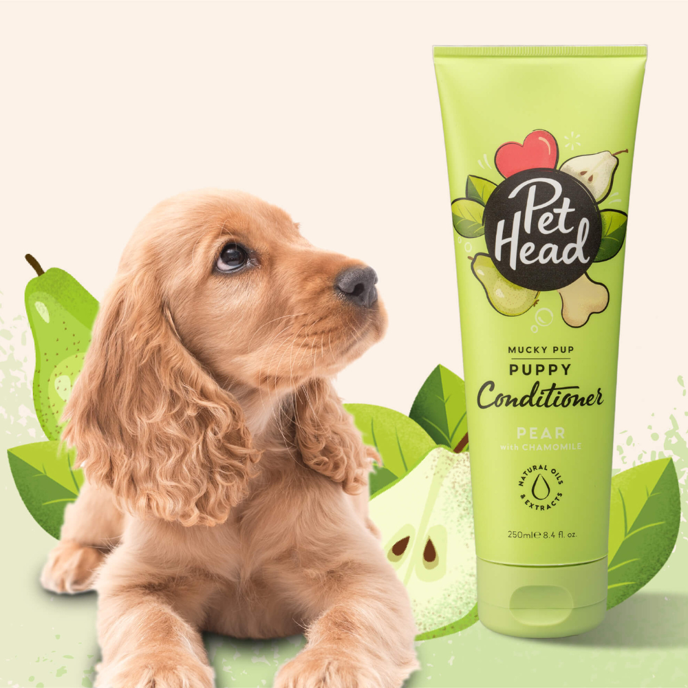 Pet Head Acondicionador Mucky Pup - 250ml (Cachorros)