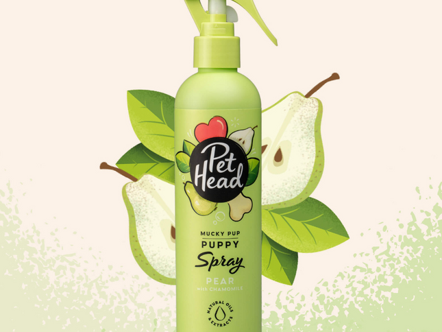 Pet Head Desodorante Mucky Puppy 300ml (Cachorros)