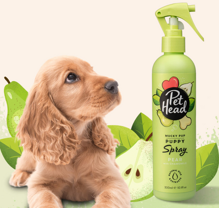 Pet Head Desodorante Mucky Puppy 300ml (Cachorros)