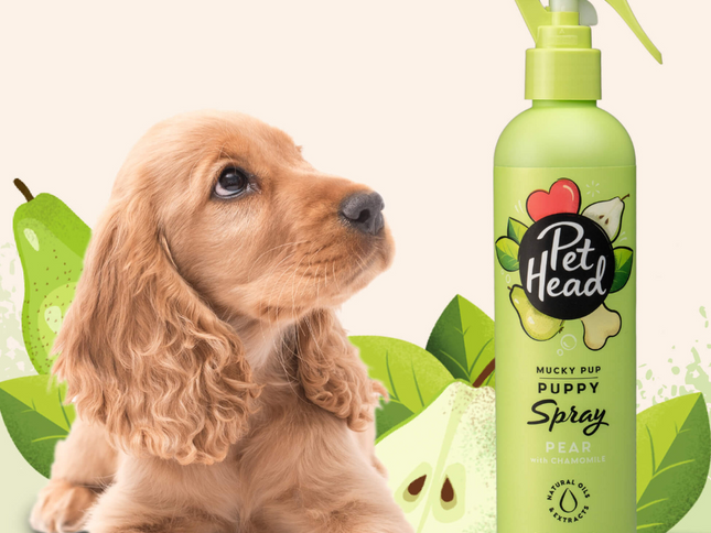 Pet Head Desodorante Mucky Puppy 300ml (Cachorros)