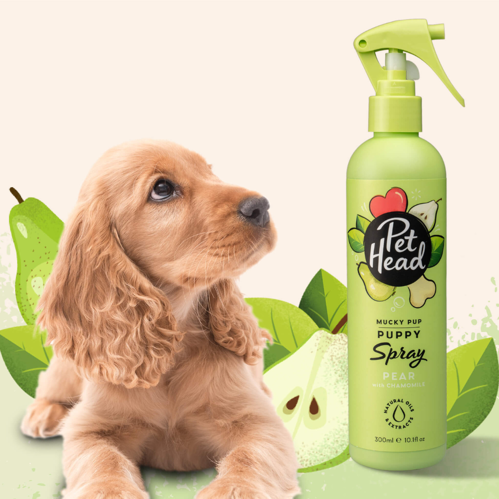 Pet Head Desodorante Mucky Puppy 300ml (Cachorros)