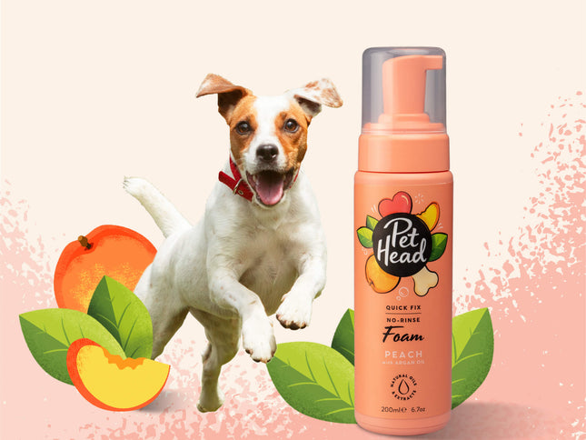 Pet Head Shampoo en Seco Quick Fix - 200ml