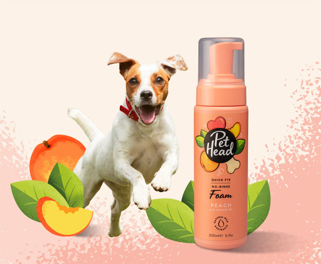 Pet Head Shampoo en Seco Quick Fix - 200ml