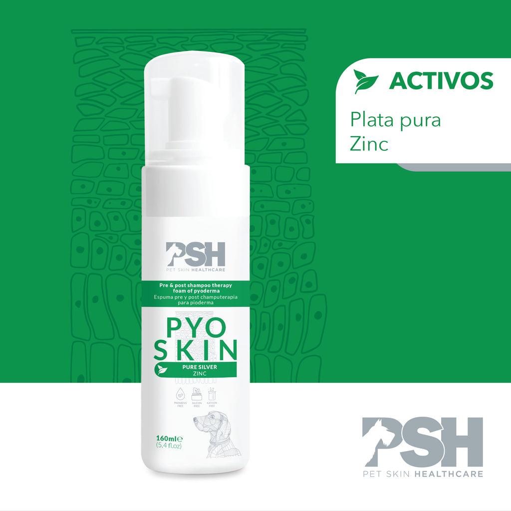PSH Espuma Pyo Skin 160ml (Pioderma)