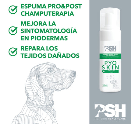PSH Espuma Pyo Skin 160ml (Pioderma)