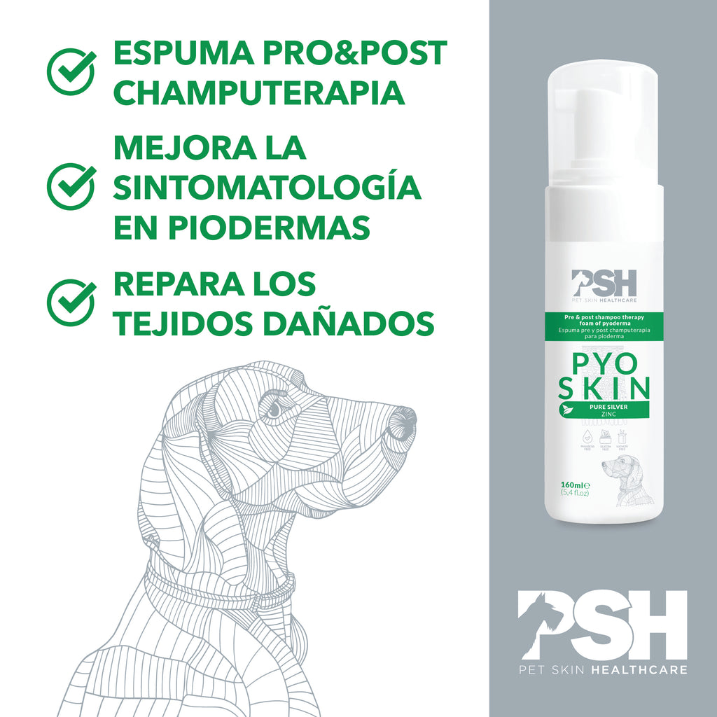 PSH Espuma Pyo Skin 160ml (Pioderma)