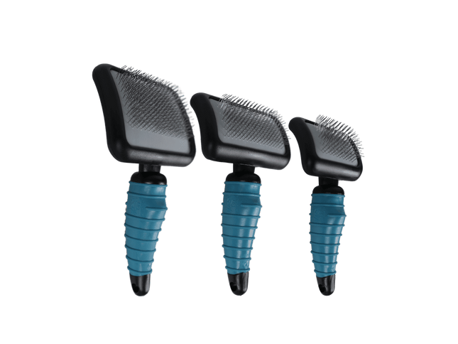 Rasqueta Firm Master Grooming