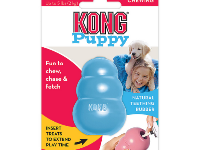 KONG Puppy
