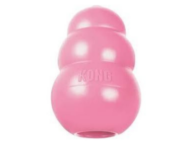 KONG Puppy