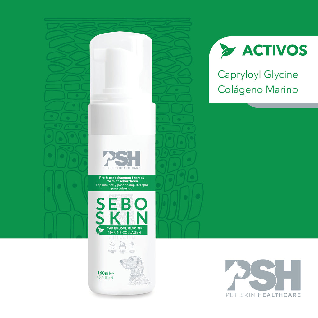 PSH Espuma Sebo Skin 160ml (Seborrea)