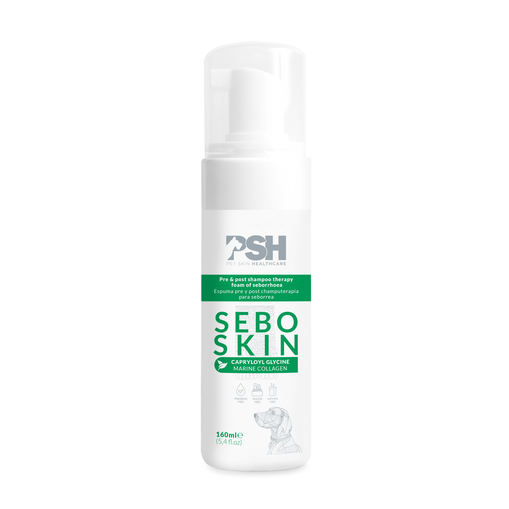 PSH Espuma Sebo Skin 160ml (Seborrea)