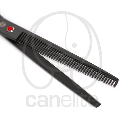 Set tijeras Purple Dragon 8"