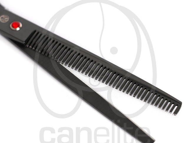 Set tijeras Purple Dragon 8"