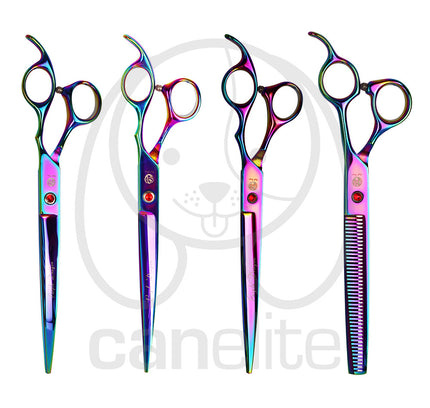 Set tijeras Purple Dragon 8"