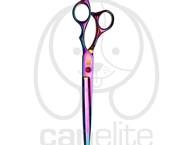 Set tijeras Purple Dragon 8"
