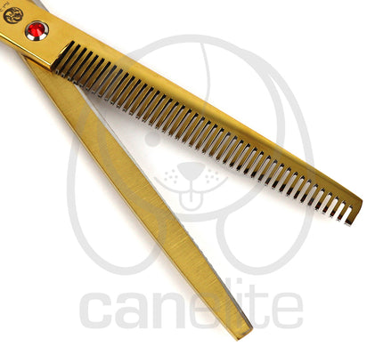 Set tijeras Purple Dragon 8"