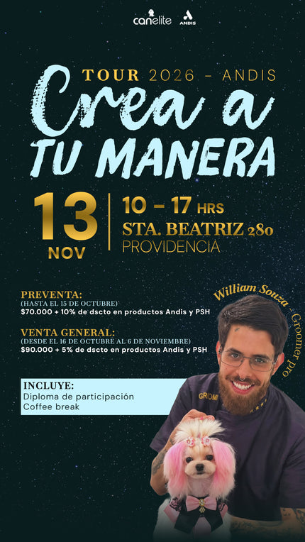 Entrada Tour Andis 2026