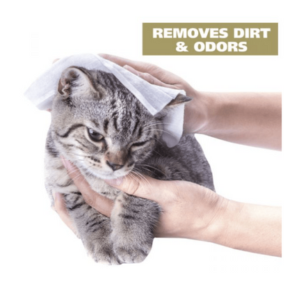 Toallita de limpieza para gatos Wahl Home