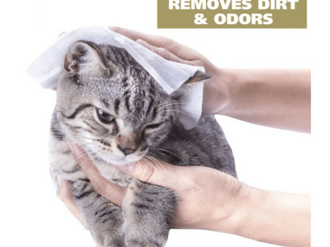 Toallita de limpieza para gatos Wahl Home