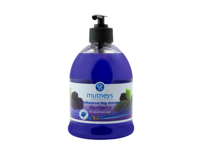 Shampo Dewberry Mutney
