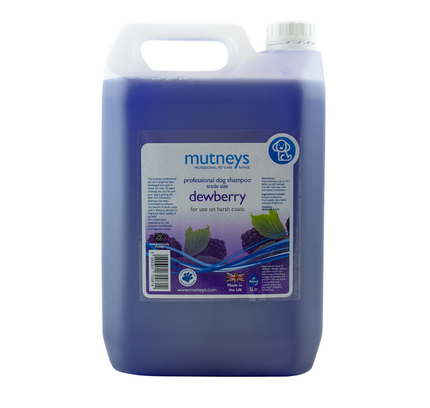 Shampo Dewberry Mutney
