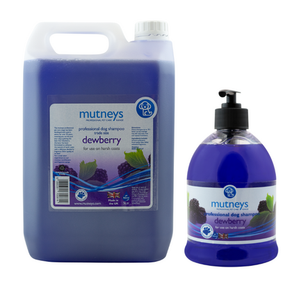 Shampo Dewberry Mutney