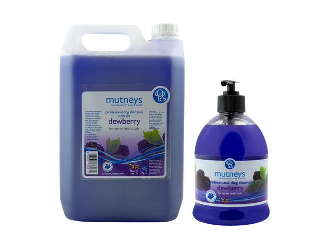 Shampo Dewberry Mutney