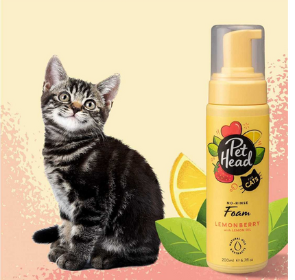 Shampo en seco para gatos Pet Head Felin Good 200 ml