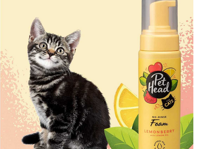 Shampo en seco para gatos Pet Head Felin Good 200 ml