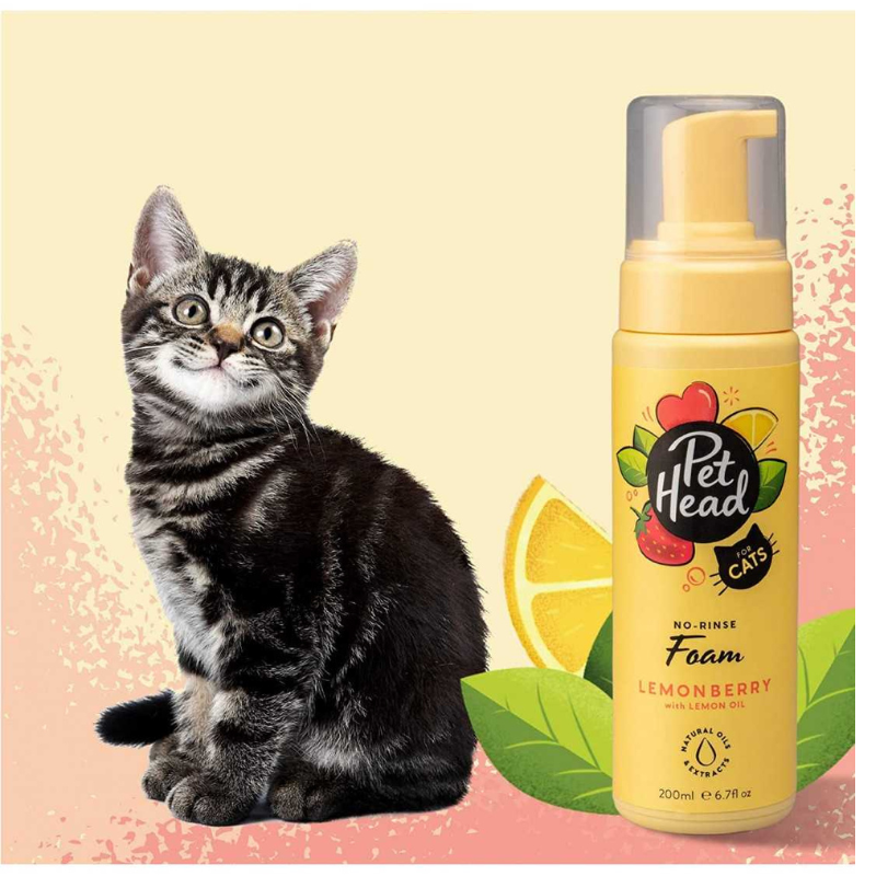 Shampo en seco para gatos Pet Head Felin Good 200 ml